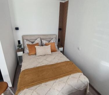 Elk Apartment | Studio 2 Apartment
