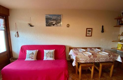 Le Chinaillon Apartment | Studio confortable au centre du Chinaillon, proche commerces et pistes, avec ménage inclus - FR-1-241-239