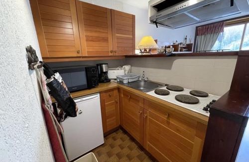 Laveissiere Apartment | Studio plein sud au cœur de la station, accès direct pistes - FR-1-787-132