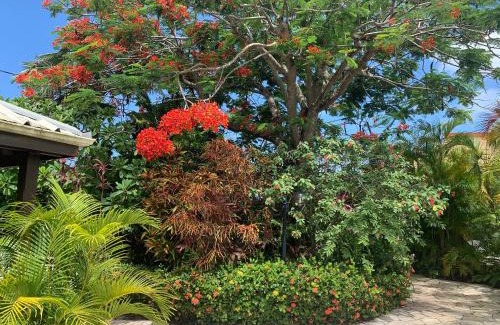 Pointe du Bout Apartment | Studio Sympa vue sur mer