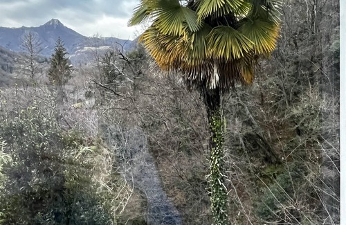 Dizzasco Cottage | Stylish house on Lake Como, ideal for an active couple, preferably with a dog