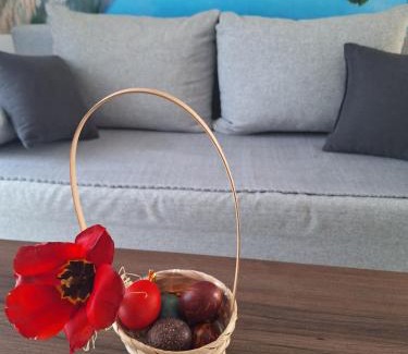Bajina Basta Apartment | Sunce