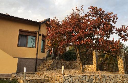 Sandanski Villa | Sunshine villa Dzhigurovo
