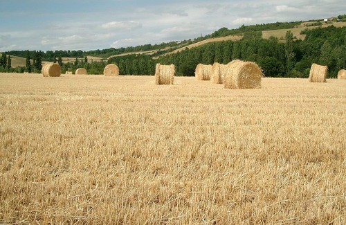 Cordes-sur-Ciel Other | Superbly Renovated Stone Farmhouse in 2¼ Acres with Private Pool, Free Wifi