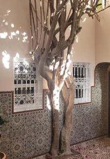 Taghazout House | Surf Riad Taghazout