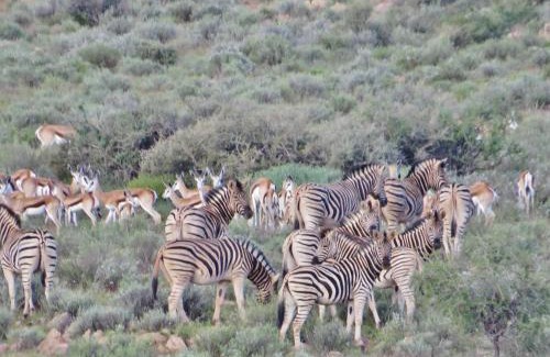 Solitaire Cabin | Swartfontein Game and Adventure Lodge
