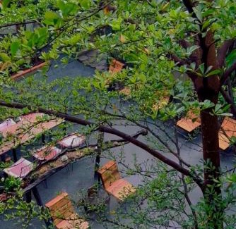 Duong Dong Hotel | TỊNH House Phú Quốc