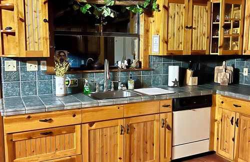 North San Antonio - SAT House | Texas Rustic Cozy Home in San Antonio Texas - 15 minutes from the Airport