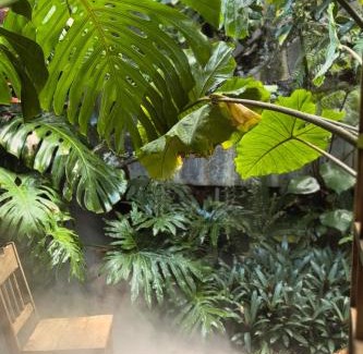 Bao Loc House | Thỏ Non Garden - Bảo Lộc Center 02