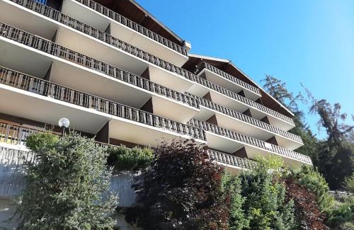 Veysonnaz Apartment | The fox's family home - Veysonnaz