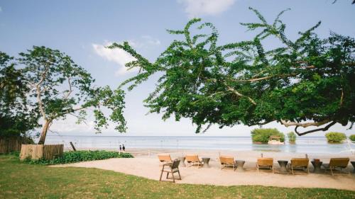 Puerto Princesa City Centre Resort | The Funny Lion - Puerto Princesa