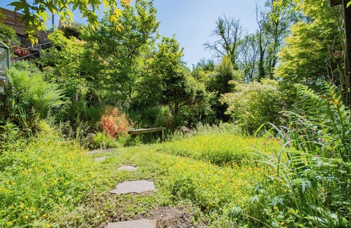 Edenfield Cabin | The Hobbit House in The Dell, Edenfield