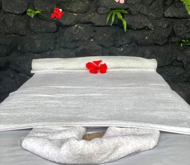 Taveuni Island East Hotel | The Pointe Taveuni