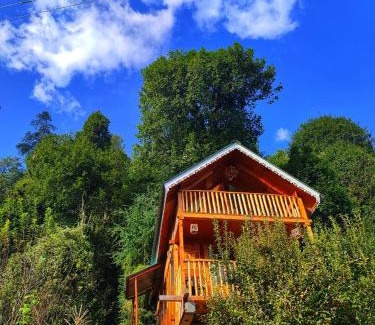 Banjar House | The Tree Top Treehouse Jibhi