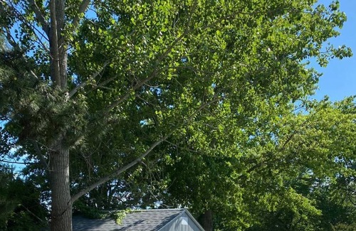 Village Green Condo | This Cape May location is close to marinas, restaurants and beaches!