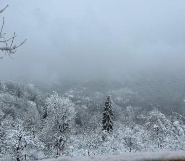 Khelvachauri Other | Thoma's hut-თომას ქოხი