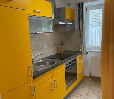 Bad Ischl Apartment | Traunkai Apartments - Zimnitz Blick