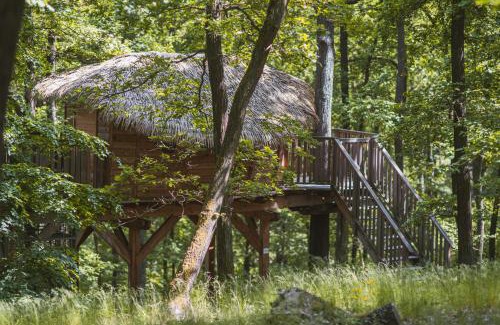 Jinacovice Other | TREE HOUSE U Mravence