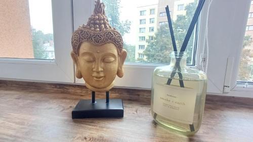 Bohumin Apartment | Ubytovaní U Dvora