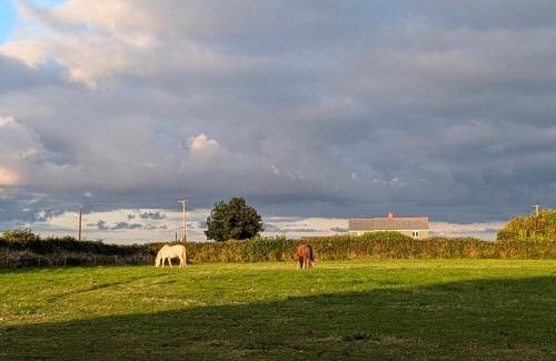 Holsworthy House | Up Shed - Modern Countryside King-size Ensuite With Own Access