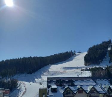 Bukovel Hotel | Urochyshe Vyshnya