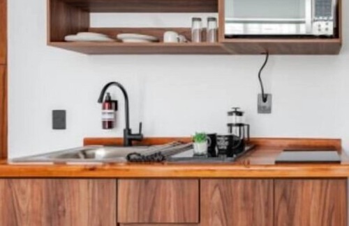 Santa Maria la Ribera Apartment | VH | Sta Ma la Ribera | Depa 1 rec + rooftop | 36