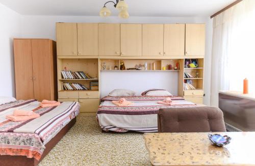 Soko Banja House | Vila Vojvođanka