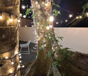 Santurce House | Villa Bamboo