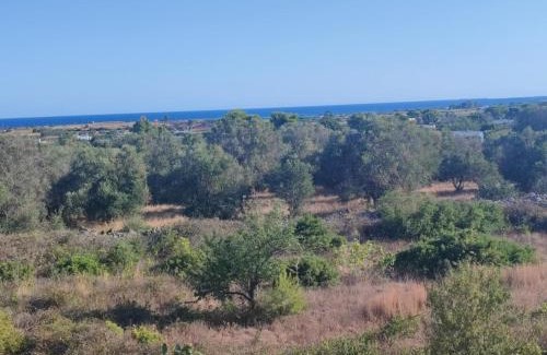Manduria Villa | Villa Mary