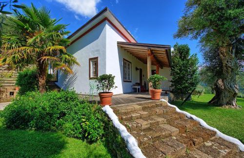 Pietrasanta Villa | Villa Oliveta by PosarelliVillas