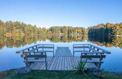 Huntsville Cottage | Waterfront Cottage - Amazing Family Get-Away, Otter Lake Oasis!