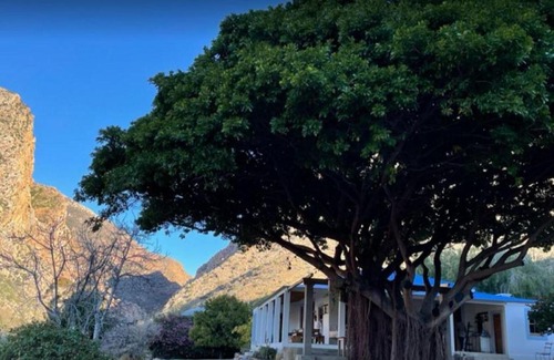 Prince Albert Apartment | Weltevrede Fig Farm