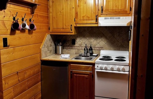 Meadows Of Dan Cabin | Wildcat Forest Cabin by Buffalo Mountain Getaway