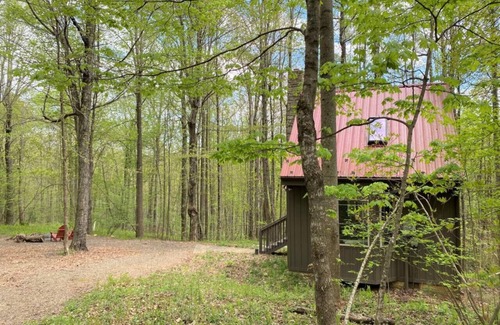 Meadows Of Dan Cabin | Wildcat Forest Cabin by Buffalo Mountain Getaway