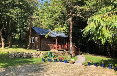 Dublin Cabin | Willow Lodge