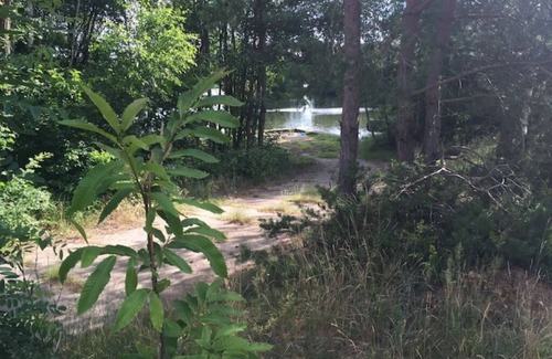 Treuenbrietzen Apartment | Workshop 17 - Chilling & barbecuing