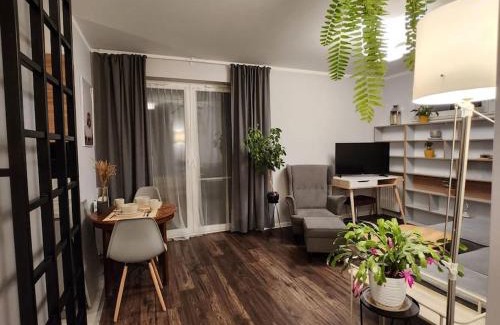 Rzeszow Apartment | Wygodne M z ogródkiem