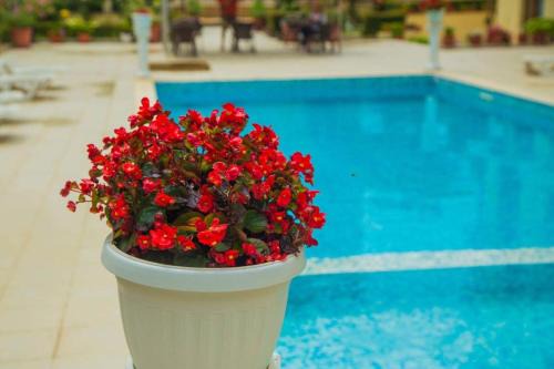 Студио до плажа Свети Влас