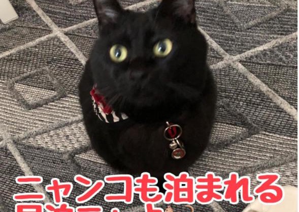 男性のみでの利用不可ーペット連れ歓迎 女性連れ専用ーotomari MUSUHIータイ古式マッサージや妊産婦ケアが受けられる 源泉掛け流し温泉側の宿 ドッグラン可