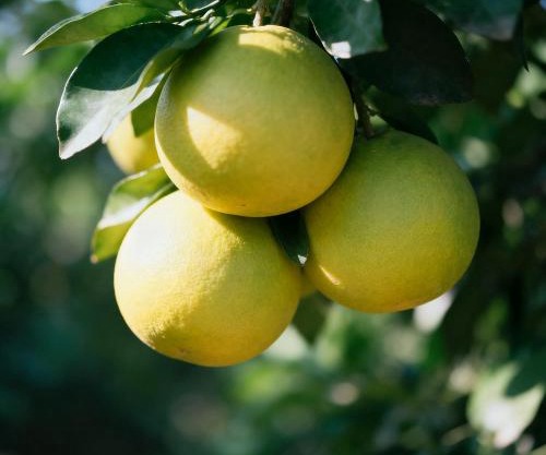 重返自然 return to nature