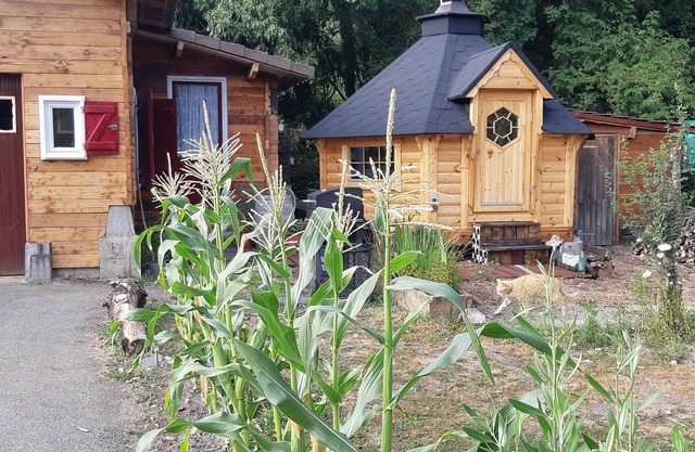 1 Bed Cabin - Sleeps 4 - Pets - Lake - Wifi