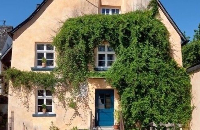 300 Jahre altes Ferienhaus am Bio-Weingut an der Mosel