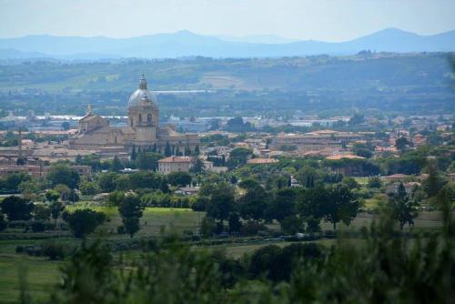 All'Ombra di San Damiano