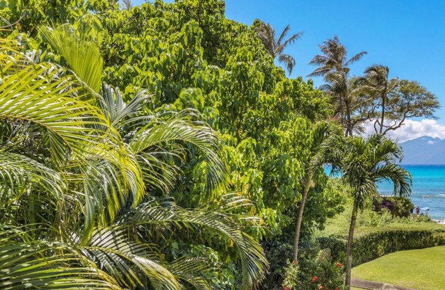 Aloha Condos, Napili Bay Resort, Condo 217, Beach View, Renovated