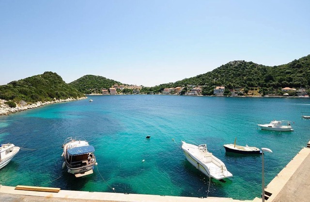 Apartments Ivka (53971-A3) - Zaklopatica - island Lastovo