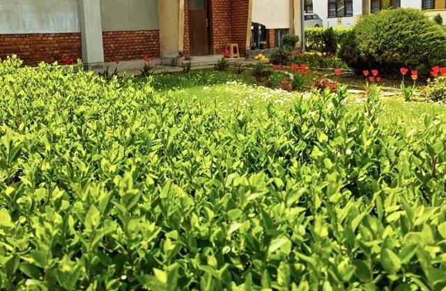 Apartman Mali Raj Rudnik II