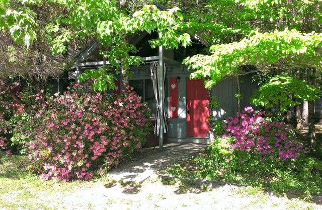 Bear Paw Cottage #6 King ; Close to Helen ;Pet Friendly;2 Adults/2 Children Max