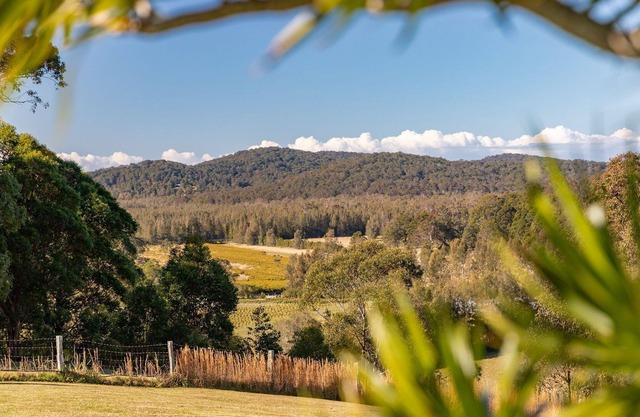 Busters Run - close to Seal Rocks - Linen - Pet Friendly