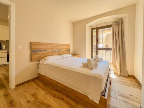 Can Cintet 1-2 - Apartamento doble en Besalú