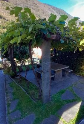 Casa Camelia